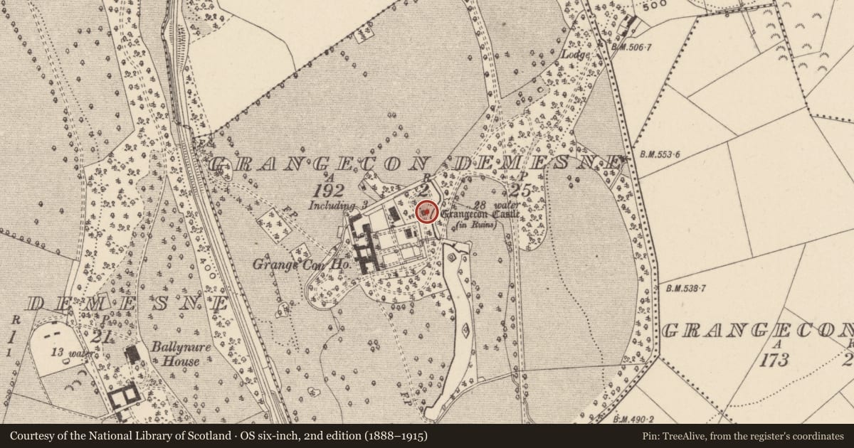 Ordnance Survey six-inch map, 2nd edition (1888–1915) covering the location of Inscribed stone, Grangecon Demesne, County Wicklow, with a pin at the register's coordinates