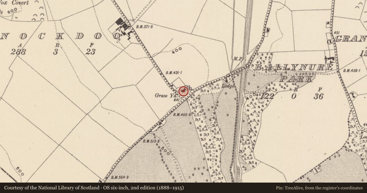Ordnance Survey six-inch map, 2nd edition (1888–1915) covering the location of Graveyard, Ballynure, County Wicklow, with a pin at the register's coordinates