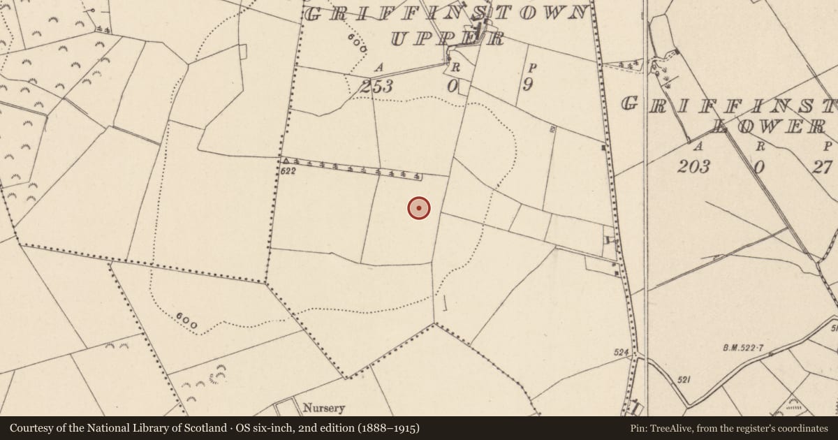Ordnance Survey six-inch map, 2nd edition (1888–1915) covering the location of Ringfort - unclassified, Griffinstown Upper, County Wicklow, with a pin at the register's coordinates