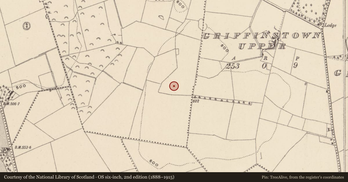 Ordnance Survey six-inch map, 2nd edition (1888–1915) covering the location of Enclosure, Griffinstown Hill, County Wicklow, with a pin at the register's coordinates