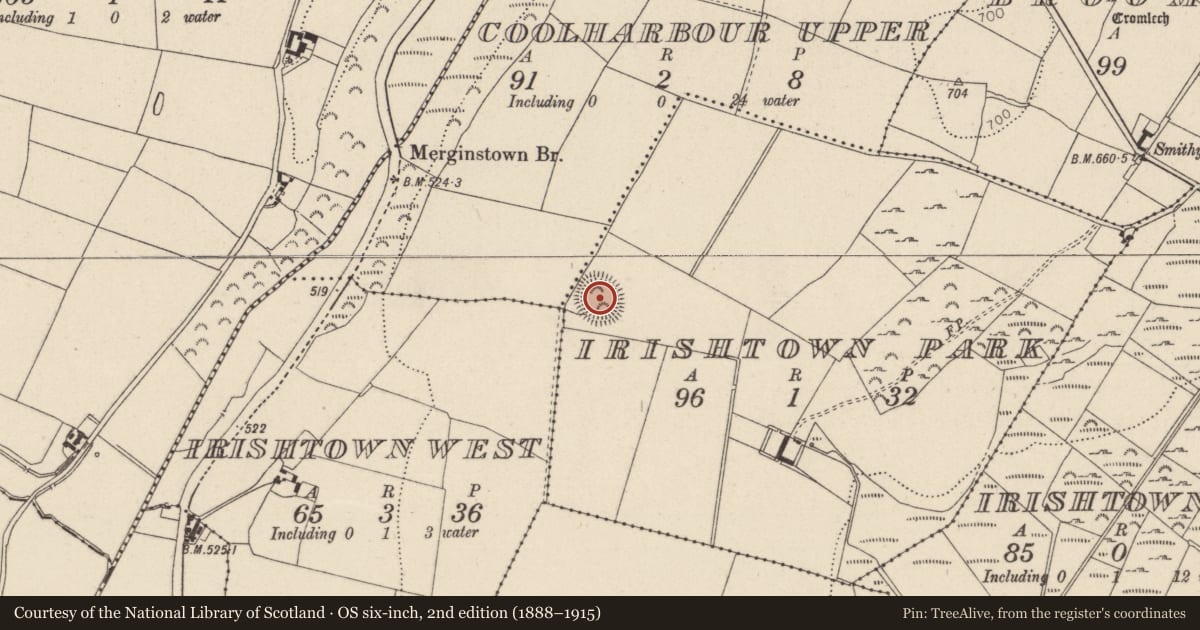 Ordnance Survey six-inch map, 2nd edition (1888–1915) covering the location of Enclosure, Irishtown Park, County Wicklow, with a pin at the register's coordinates