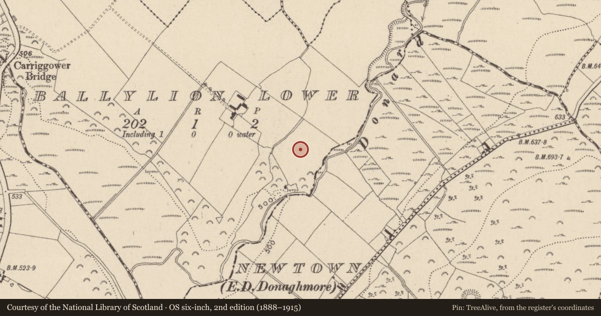 Ordnance Survey six-inch map, 2nd edition (1888–1915) covering the location of Enclosure, Ballylion Lower, County Wicklow, with a pin at the register's coordinates