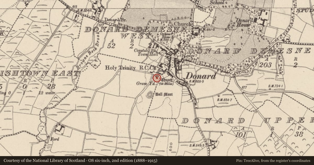 Ordnance Survey six-inch map, 2nd edition (1888–1915) covering the location of Memorial stone, Donard Lower, County Wicklow, with a pin at the register's coordinates