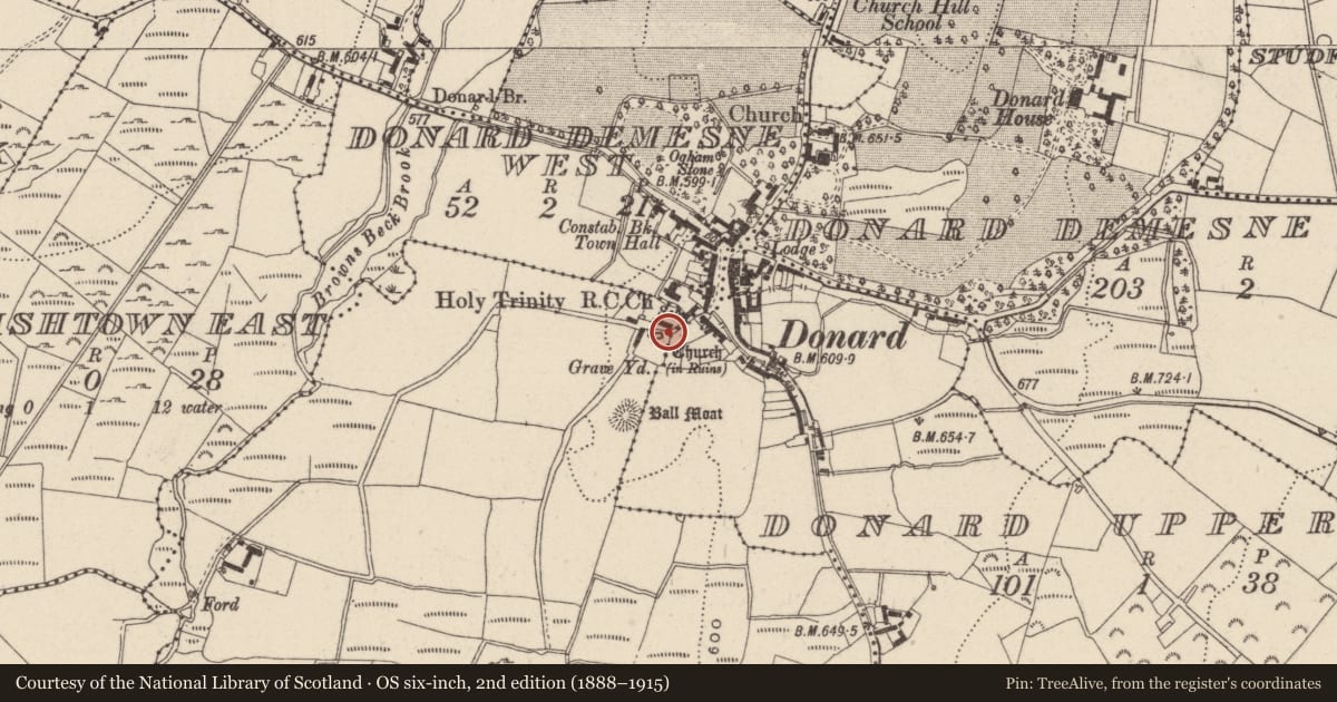 Ordnance Survey six-inch map, 2nd edition (1888–1915) covering the location of Graveslab, Donard Lower, County Wicklow, with a pin at the register's coordinates