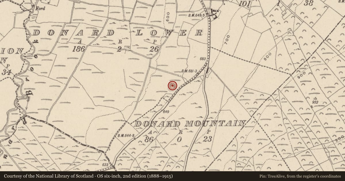 Ordnance Survey six-inch map, 2nd edition (1888–1915) covering the location of Enclosure, Donard Lower, County Wicklow, with a pin at the register's coordinates