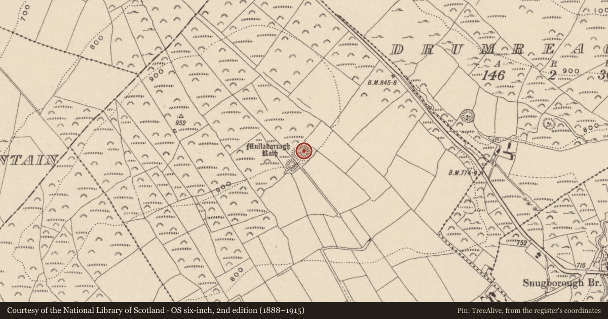 Ordnance Survey six-inch map, 2nd edition (1888–1915) covering the location of Ringfort - rath, Knockandarragh, County Wicklow, with a pin at the register's coordinates