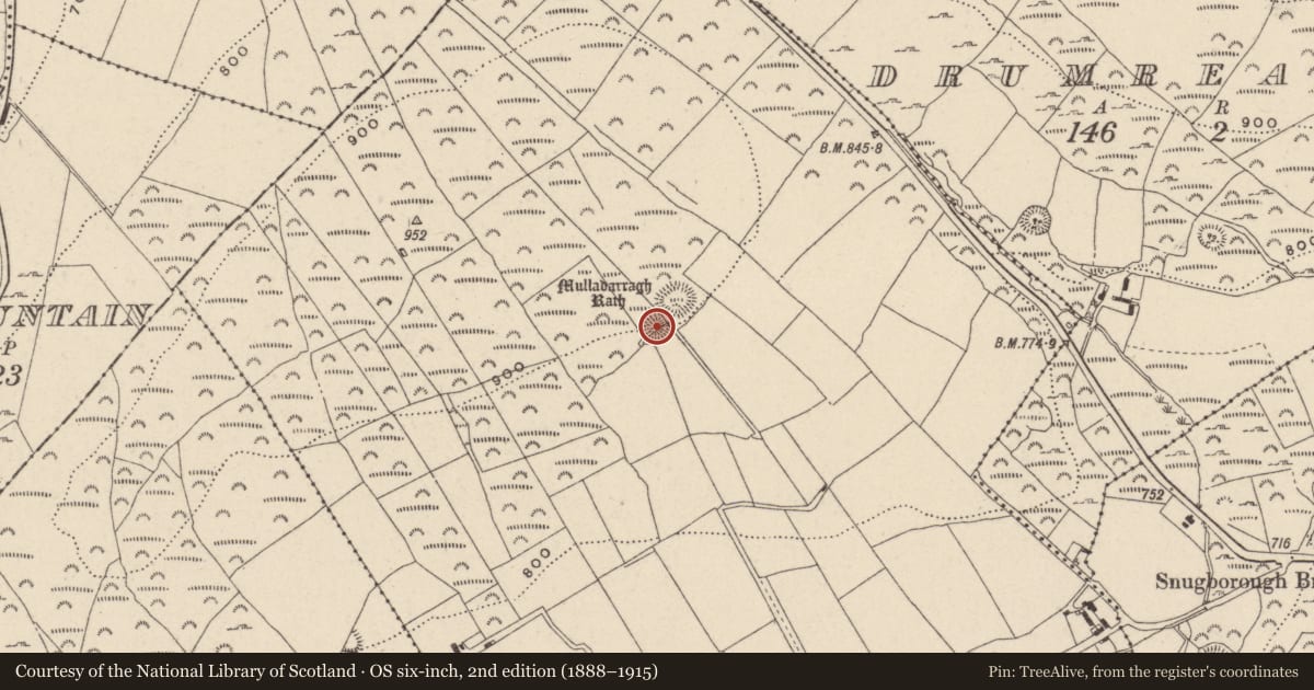 Ordnance Survey six-inch map, 2nd edition (1888–1915) covering the location of Ringfort - rath, Knockandarragh, County Wicklow, with a pin at the register's coordinates