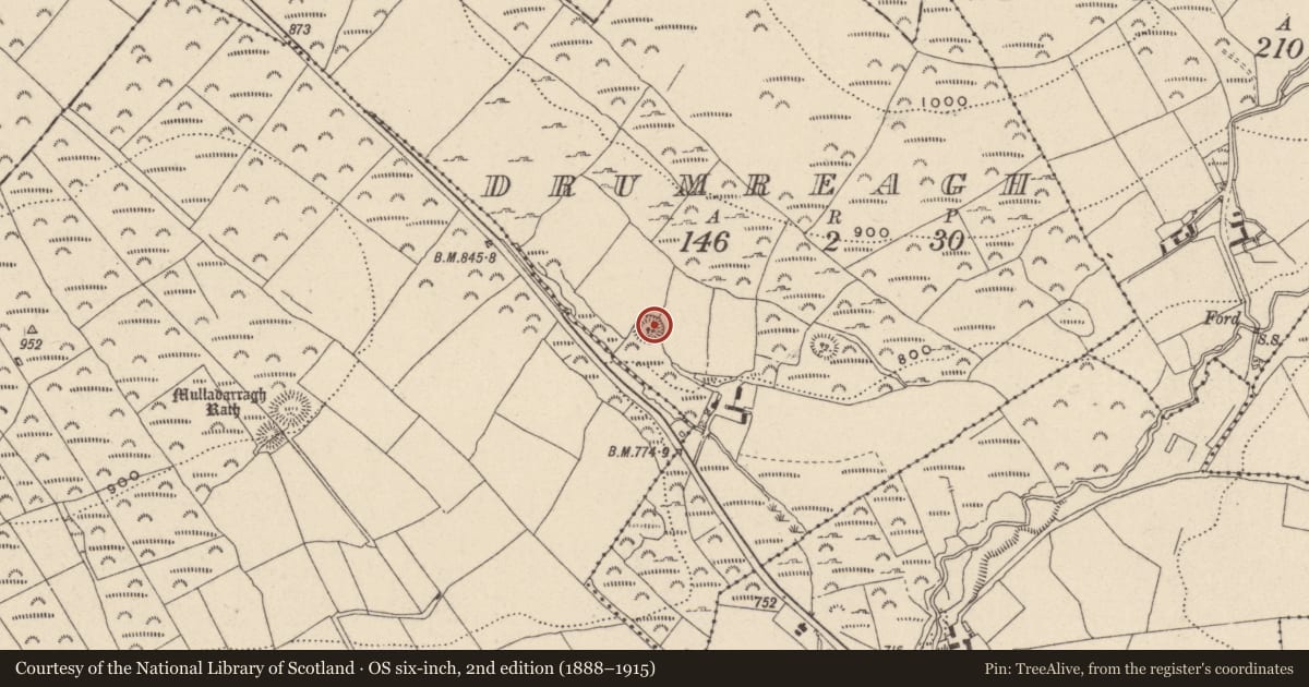 Ordnance Survey six-inch map, 2nd edition (1888–1915) covering the location of Ringfort - rath, Drumreagh, County Wicklow, with a pin at the register's coordinates