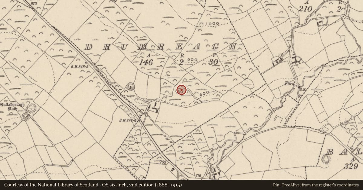 Ordnance Survey six-inch map, 2nd edition (1888–1915) covering the location of Ringfort - rath, Drumreagh, County Wicklow, with a pin at the register's coordinates