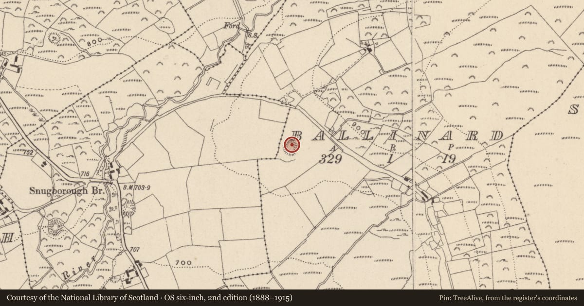 Ordnance Survey six-inch map, 2nd edition (1888–1915) covering the location of Ringfort - rath, Ballinard, County Wicklow, with a pin at the register's coordinates
