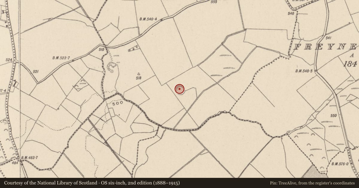 Ordnance Survey six-inch map, 2nd edition (1888–1915) covering the location of Ringfort - rath, Freynestown Upper, County Wicklow, with a pin at the register's coordinates