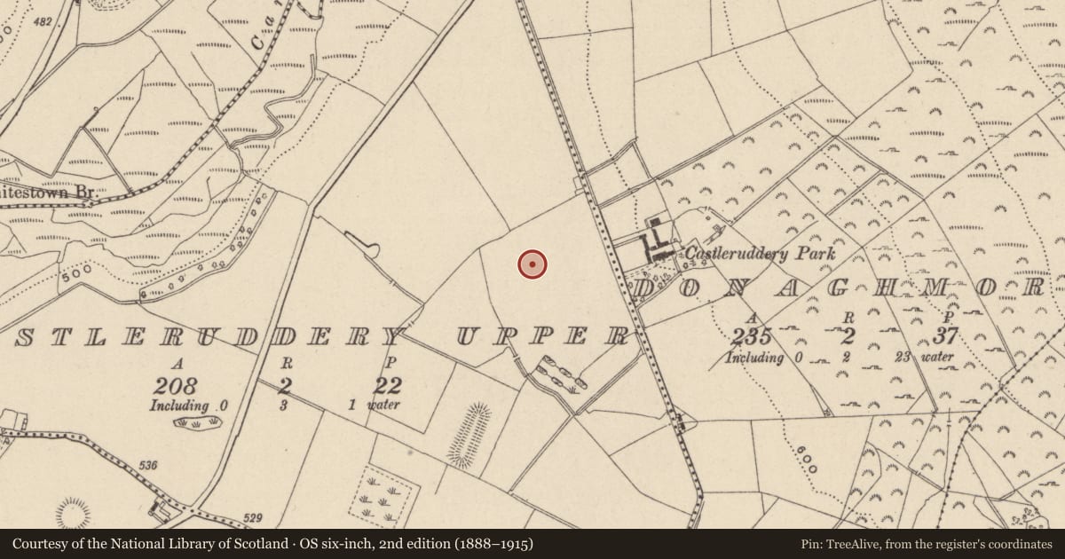 Ordnance Survey six-inch map, 2nd edition (1888–1915) covering the location of Cairn - unclassified, Castleruddery Upper, County Wicklow, with a pin at the register's coordinates