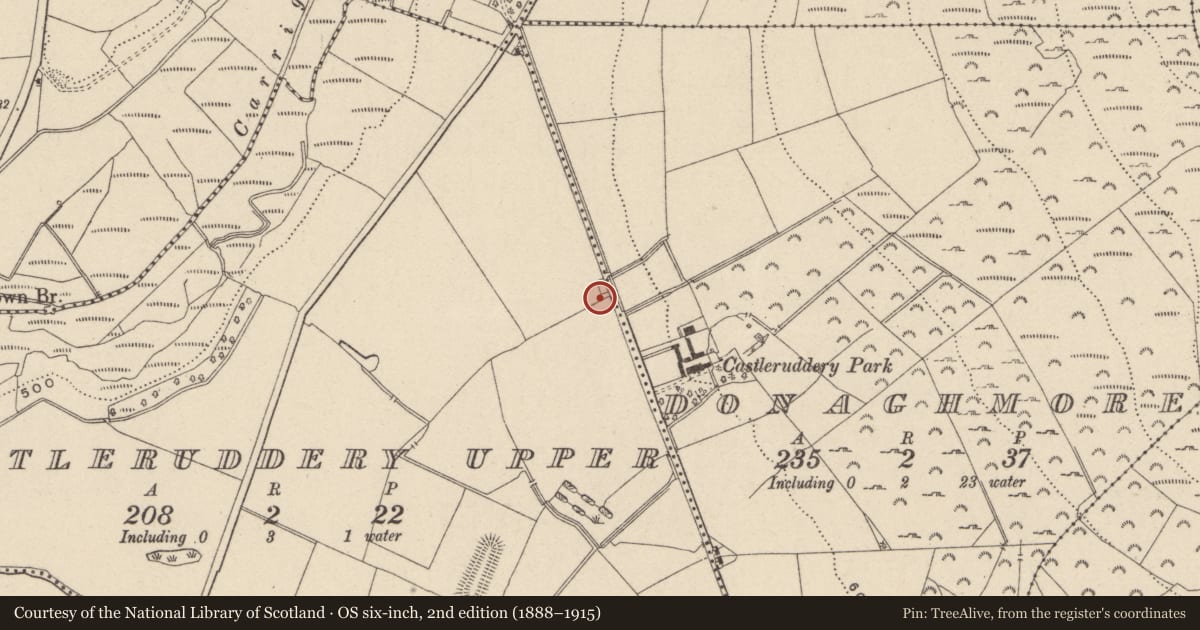Ordnance Survey six-inch map, 2nd edition (1888–1915) covering the location of Cairn - unclassified, Castleruddery Upper, County Wicklow, with a pin at the register's coordinates
