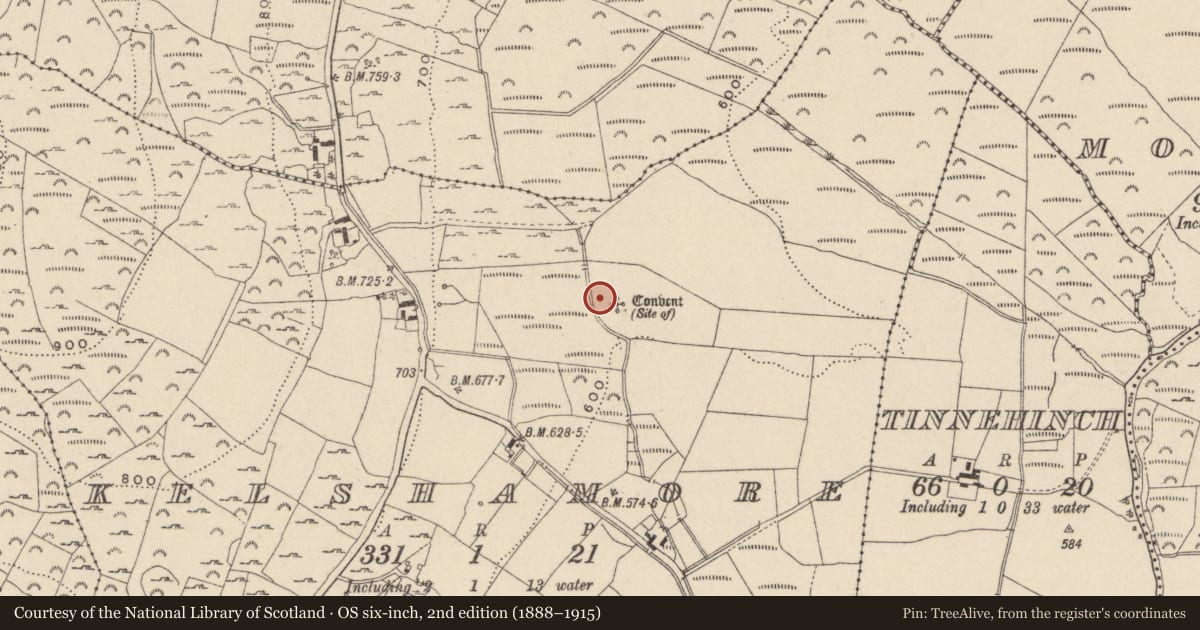 Ordnance Survey six-inch map, 2nd edition (1888–1915) covering the location of Bullaun stone, Kelshamore, County Wicklow, with a pin at the register's coordinates