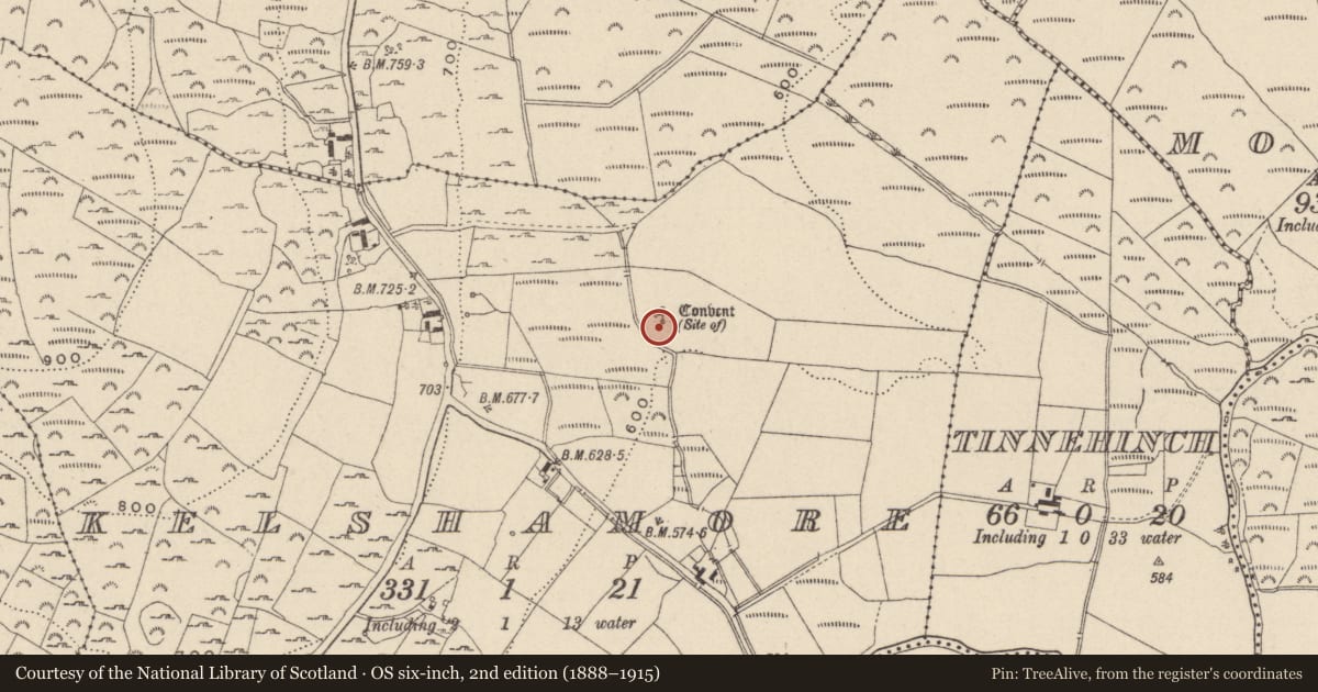 Ordnance Survey six-inch map, 2nd edition (1888–1915) covering the location of Bullaun stone, Kelshamore, County Wicklow, with a pin at the register's coordinates