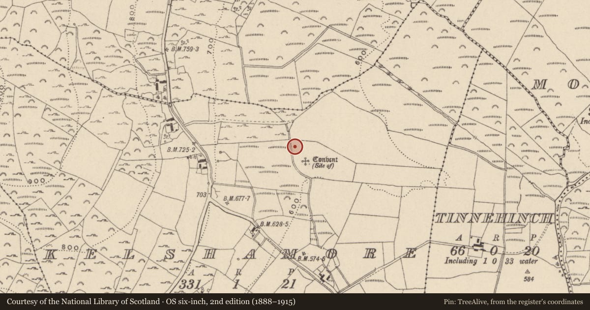 Ordnance Survey six-inch map, 2nd edition (1888–1915) covering the location of Bullaun stone, Kelshamore, County Wicklow, with a pin at the register's coordinates