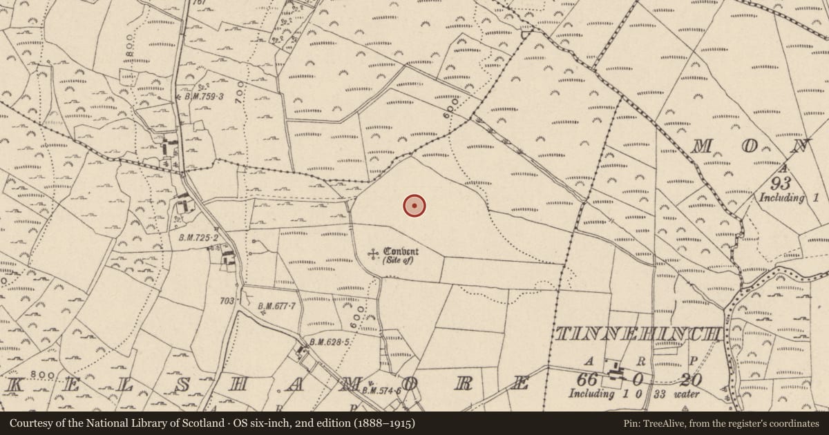 Ordnance Survey six-inch map, 2nd edition (1888–1915) covering the location of Burial ground, Kelshamore, County Wicklow, with a pin at the register's coordinates