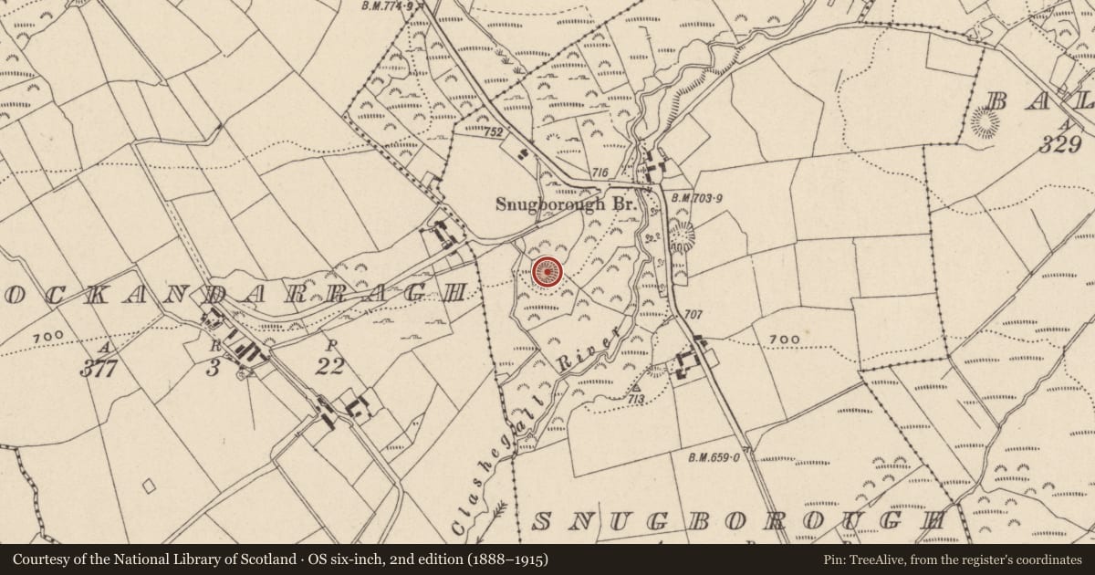 Ordnance Survey six-inch map, 2nd edition (1888–1915) covering the location of Ringfort - rath, Snugborough, County Wicklow, with a pin at the register's coordinates