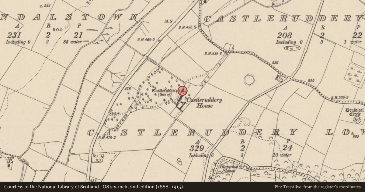 Ordnance Survey six-inch map, 2nd edition (1888–1915) covering the location of Castle - unclassified, Castleruddery Lower, County Wicklow, with a pin at the register's coordinates