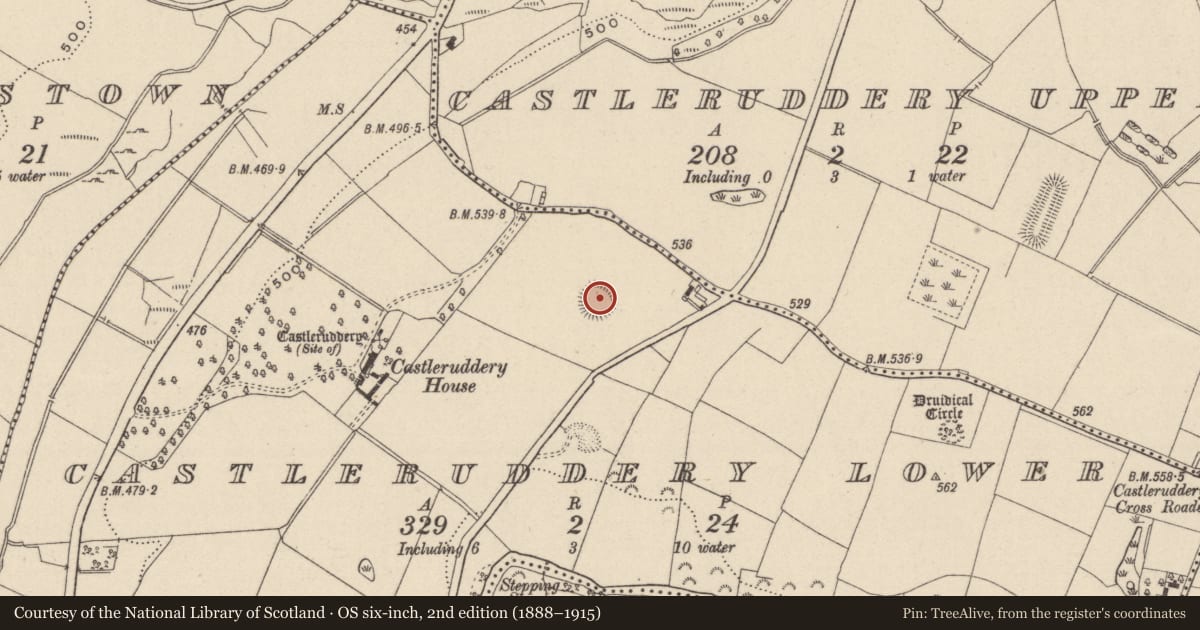 Ordnance Survey six-inch map, 2nd edition (1888–1915) covering the location of Enclosure, Castleruddery Lower, County Wicklow, with a pin at the register's coordinates
