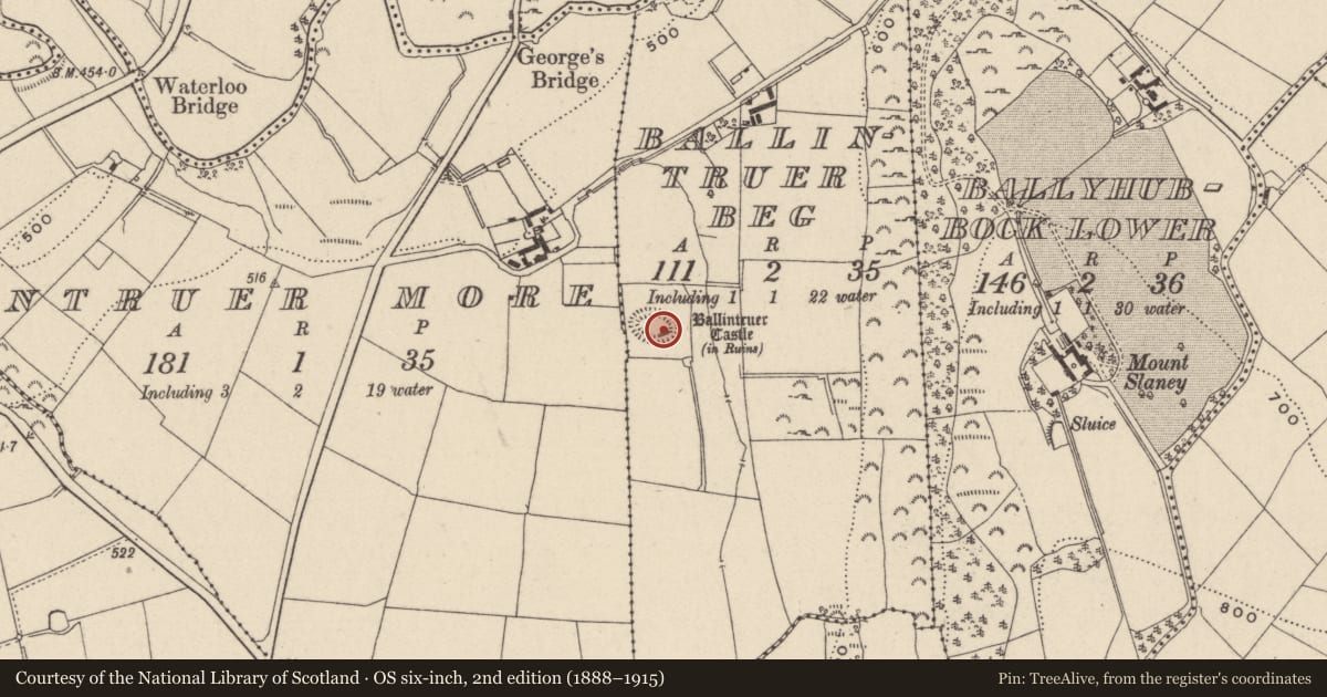 Ordnance Survey six-inch map, 2nd edition (1888–1915) covering the location of Castle - tower house, Ballintruer Beg, County Wicklow, with a pin at the register's coordinates