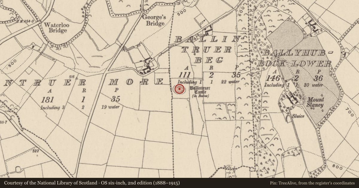Ordnance Survey six-inch map, 2nd edition (1888–1915) covering the location of Enclosure, Ballintruer Beg, County Wicklow, with a pin at the register's coordinates
