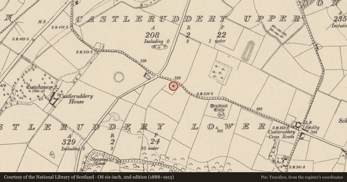 Ordnance Survey six-inch map, 2nd edition (1888–1915) covering the location of Enclosure, Castleruddery Lower, County Wicklow, with a pin at the register's coordinates