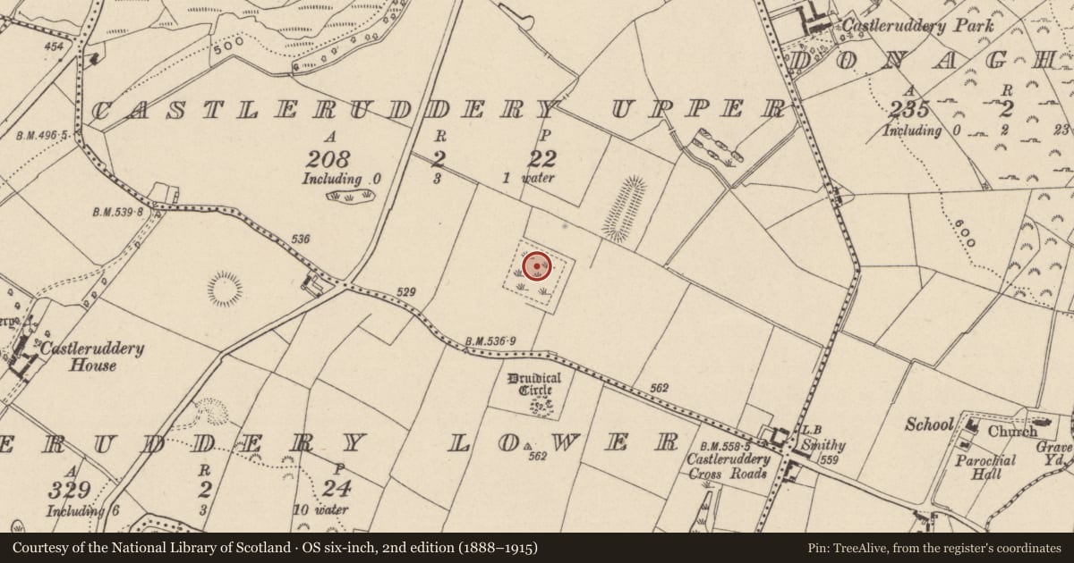 Ordnance Survey six-inch map, 2nd edition (1888–1915) covering the location of Designed landscape feature, Castleruddery Upper, County Wicklow, with a pin at the register's coordinates