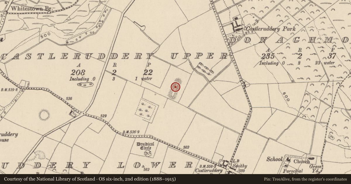Ordnance Survey six-inch map, 2nd edition (1888–1915) covering the location of Designed landscape feature, Castleruddery Upper, County Wicklow, with a pin at the register's coordinates