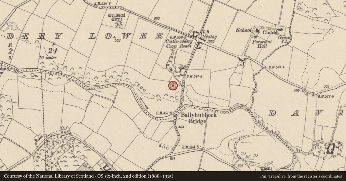 Ordnance Survey six-inch map, 2nd edition (1888–1915) covering the location of Castle - motte, Castleruddery Lower, County Wicklow, with a pin at the register's coordinates