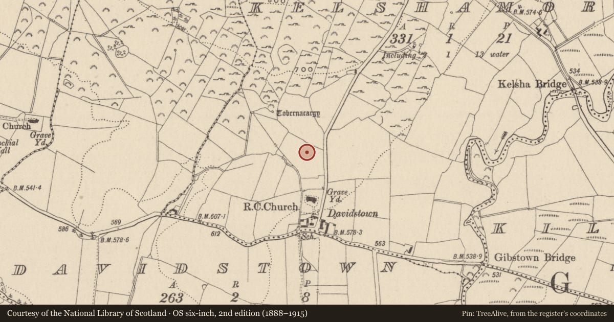 Ordnance Survey six-inch map, 2nd edition (1888–1915) covering the location of Cist, Kelshamore, County Wicklow, with a pin at the register's coordinates