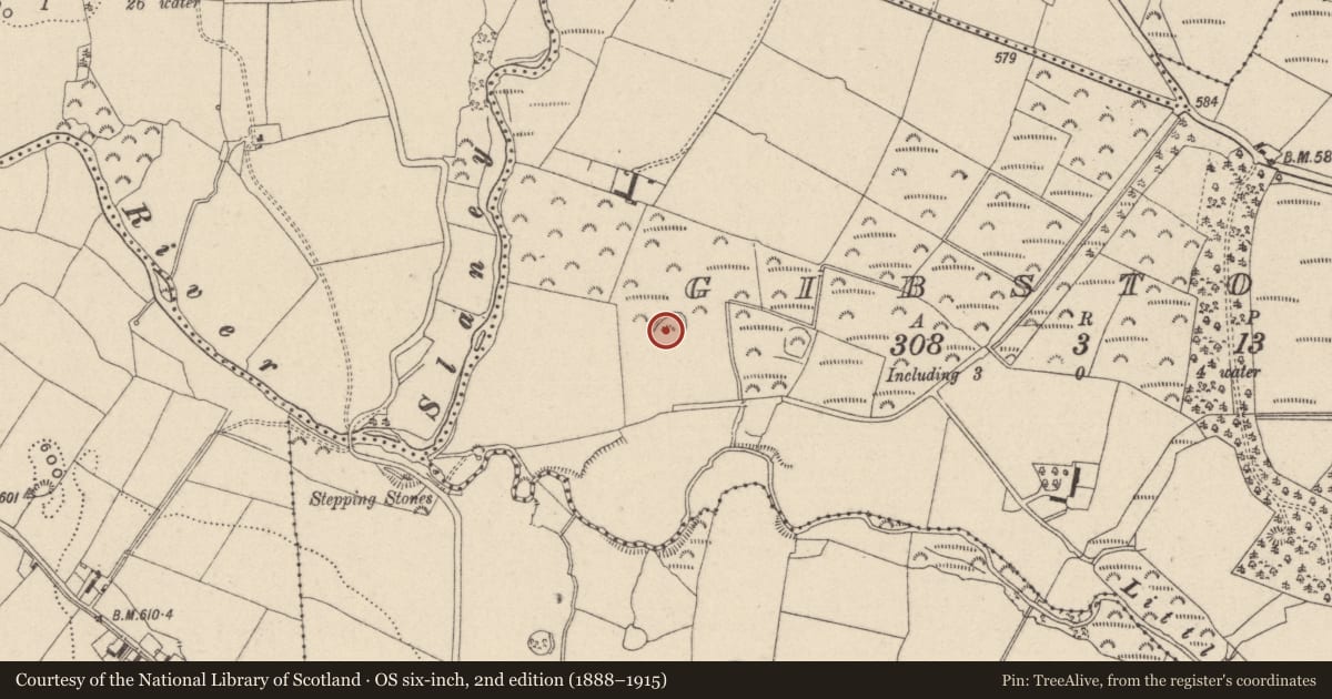 Ordnance Survey six-inch map, 2nd edition (1888–1915) covering the location of Enclosure, Gibstown, County Wicklow, with a pin at the register's coordinates