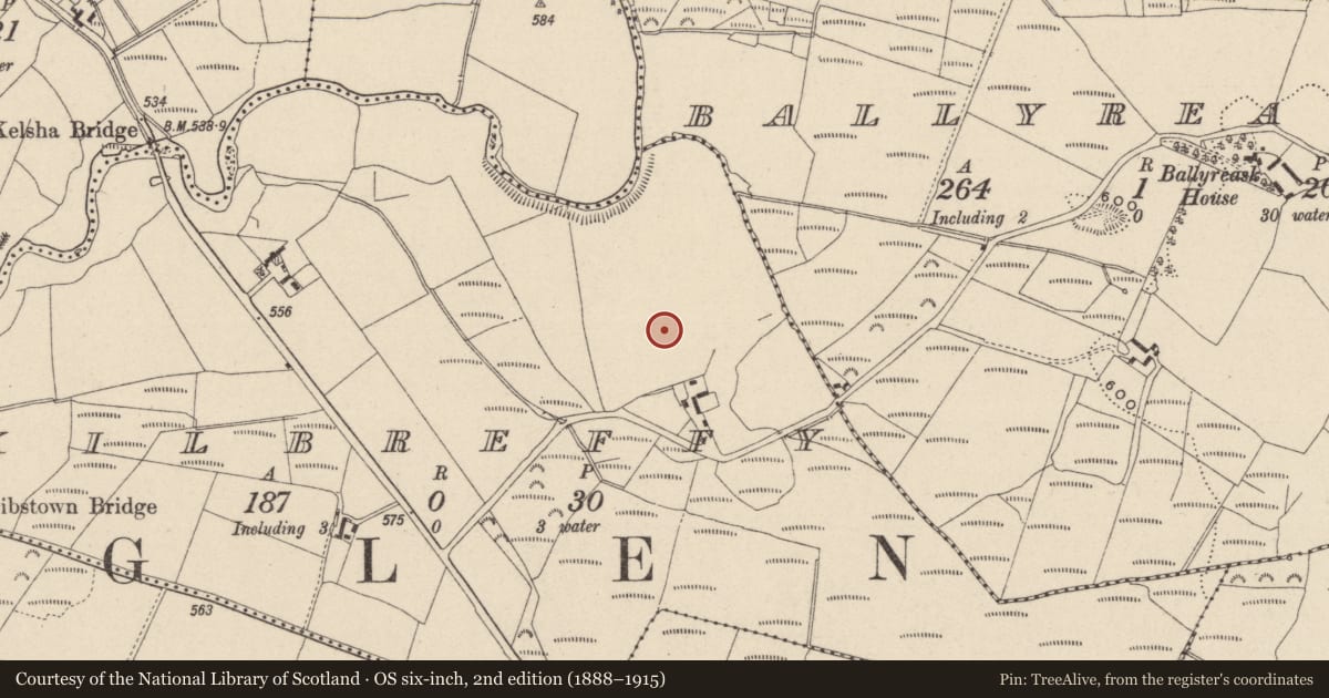 Ordnance Survey six-inch map, 2nd edition (1888–1915) covering the location of Graveyard, Kilbreffy, County Wicklow, with a pin at the register's coordinates