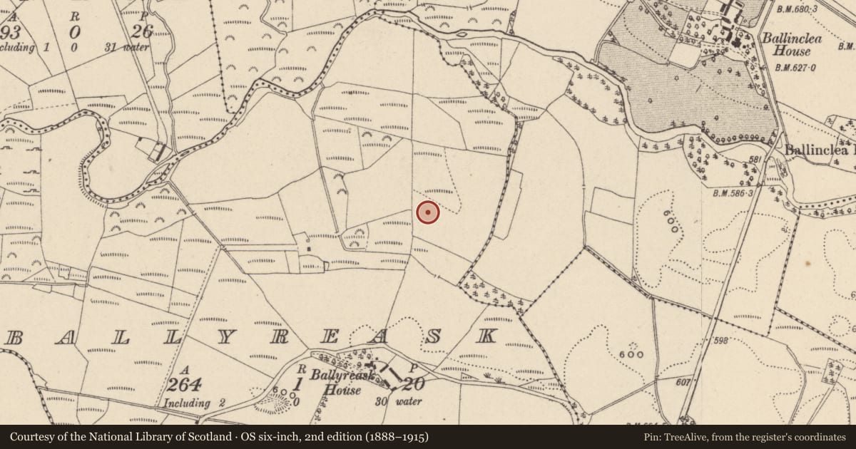 Ordnance Survey six-inch map, 2nd edition (1888–1915) covering the location of Enclosure, Ballyreask, County Wicklow, with a pin at the register's coordinates