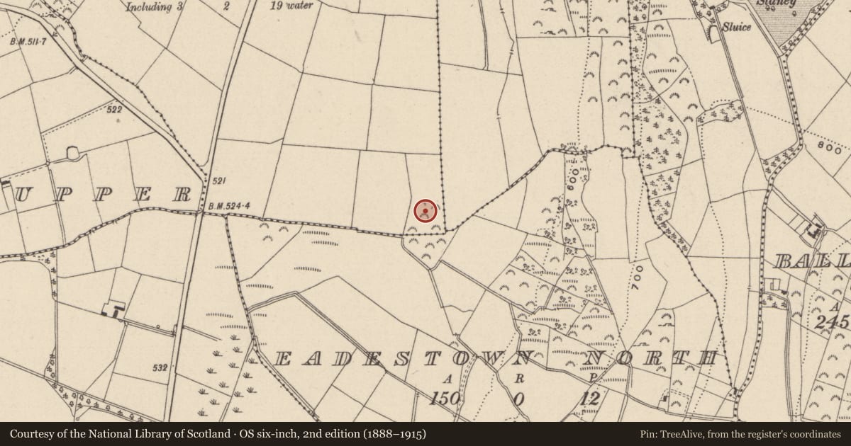 Ordnance Survey six-inch map, 2nd edition (1888–1915) covering the location of Linkardstown burial, Ballintruer More, County Wicklow, with a pin at the register's coordinates