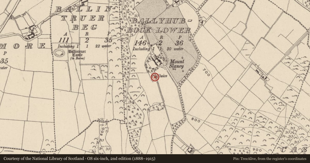 Ordnance Survey six-inch map, 2nd edition (1888–1915) covering the location of Enclosure, Ballyhubbock Lower, County Wicklow, with a pin at the register's coordinates