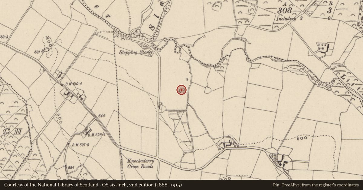 Ordnance Survey six-inch map, 2nd edition (1888–1915) covering the location of Enclosure, Knockaderry, County Wicklow, with a pin at the register's coordinates