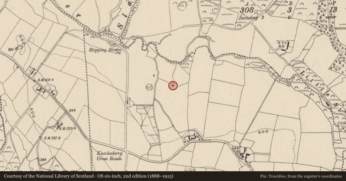 Ordnance Survey six-inch map, 2nd edition (1888–1915) covering the location of Ringfort - rath, Knockaderry, County Wicklow, with a pin at the register's coordinates