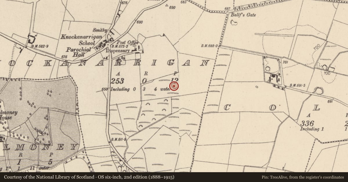 Ordnance Survey six-inch map, 2nd edition (1888–1915) covering the location of Ringfort - rath, Knockanarrigan, County Wicklow, with a pin at the register's coordinates