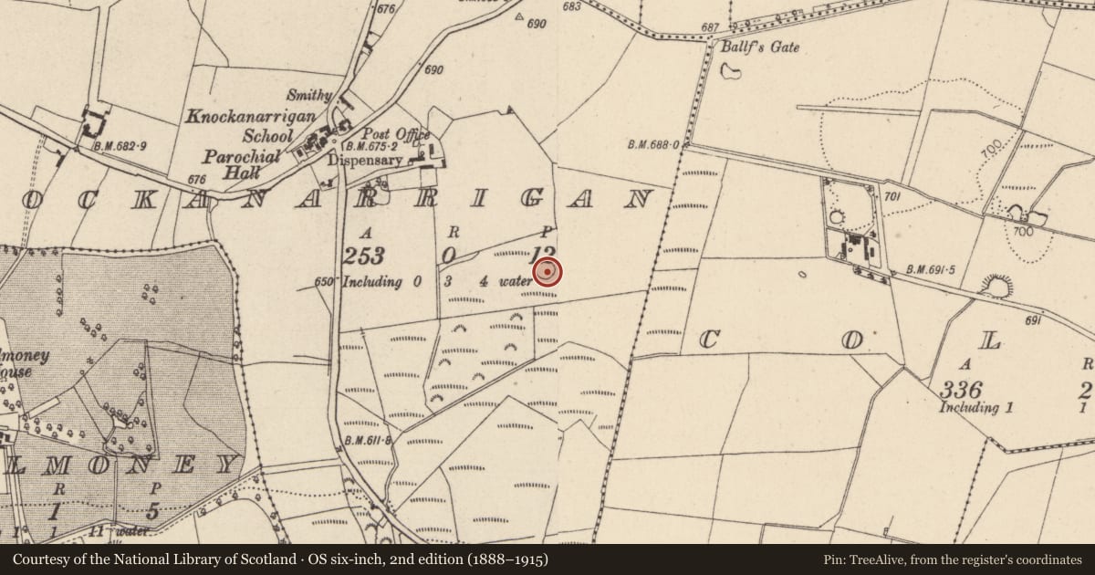 Ordnance Survey six-inch map, 2nd edition (1888–1915) covering the location of Hut site, Knockanarrigan, County Wicklow, with a pin at the register's coordinates