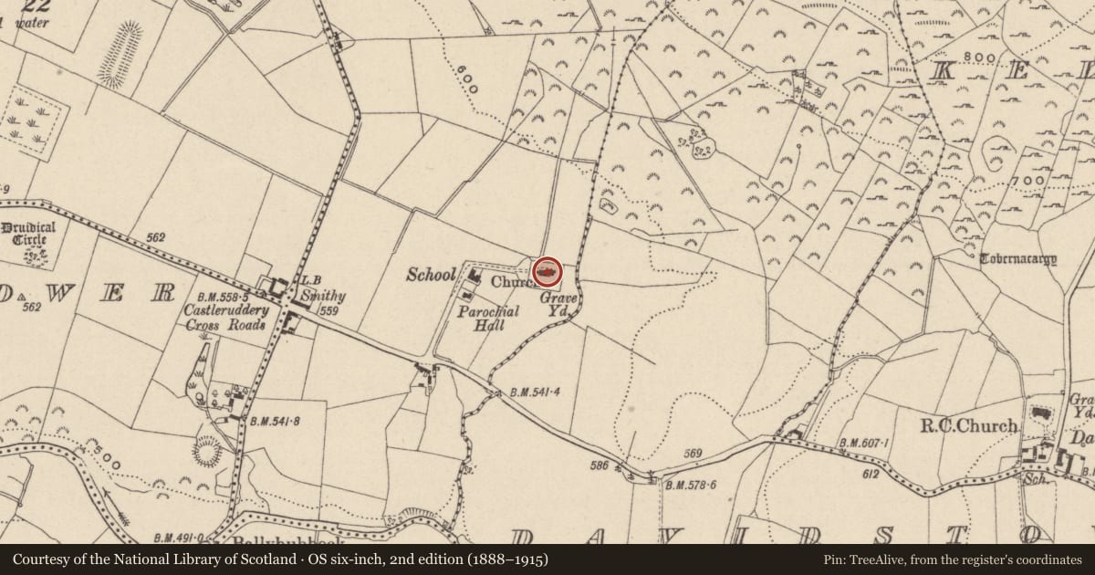 Ordnance Survey six-inch map, 2nd edition (1888–1915) covering the location of Church, Donaghmore, County Wicklow, with a pin at the register's coordinates