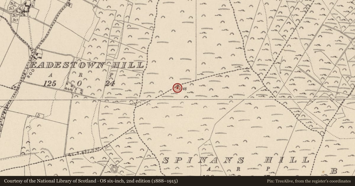 Ordnance Survey six-inch map, 2nd edition (1888–1915) covering the location of Cairn - unclassified, Spinans Hill, County Wicklow, with a pin at the register's coordinates