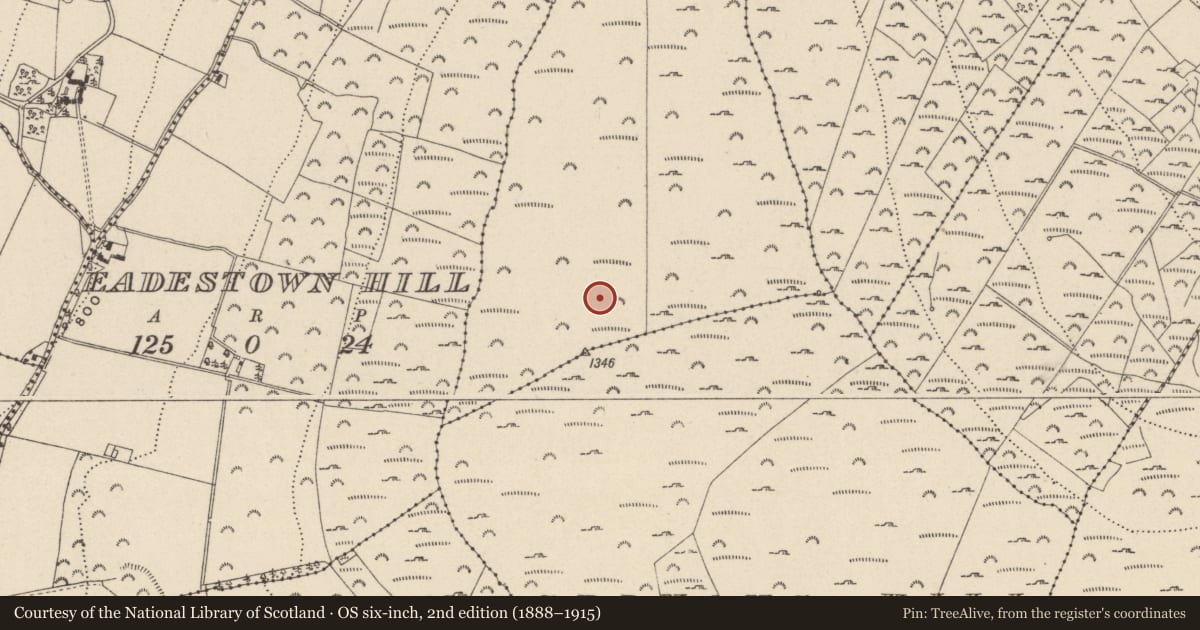 Ordnance Survey six-inch map, 2nd edition (1888–1915) covering the location of Cairn - unclassified, Ballyhubbock Upper, County Wicklow, with a pin at the register's coordinates