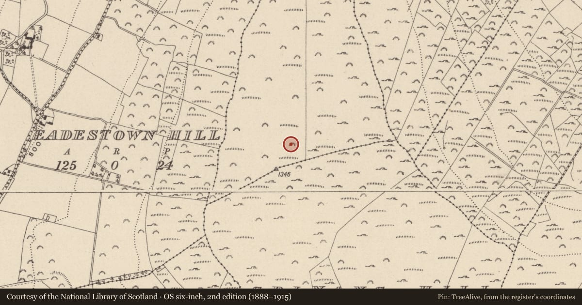 Ordnance Survey six-inch map, 2nd edition (1888–1915) covering the location of Cairn - unclassified, Ballyhubbock Upper, County Wicklow, with a pin at the register's coordinates