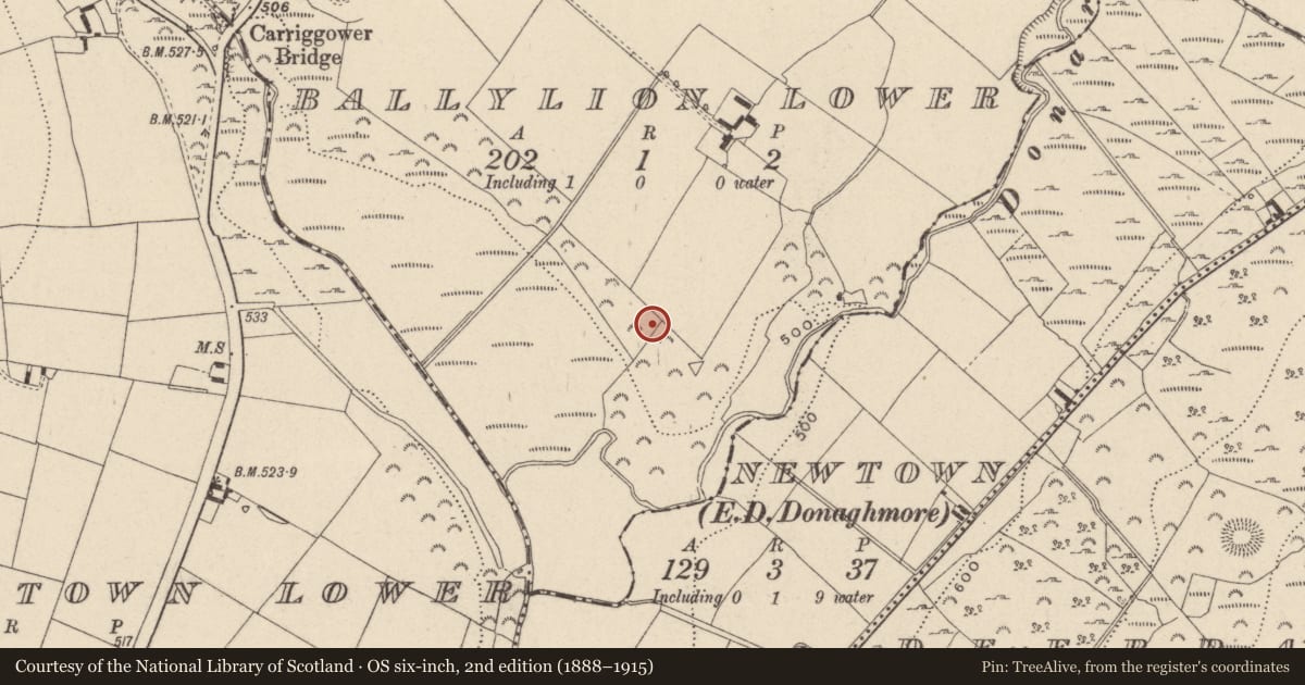 Ordnance Survey six-inch map, 2nd edition (1888–1915) covering the location of Ogham stone, Ballylion Lower, County Wicklow, with a pin at the register's coordinates
