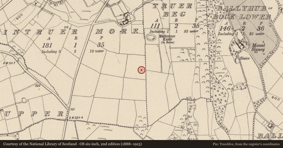 Ordnance Survey six-inch map, 2nd edition (1888–1915) covering the location of Cist, Ballintruer More, County Wicklow, with a pin at the register's coordinates