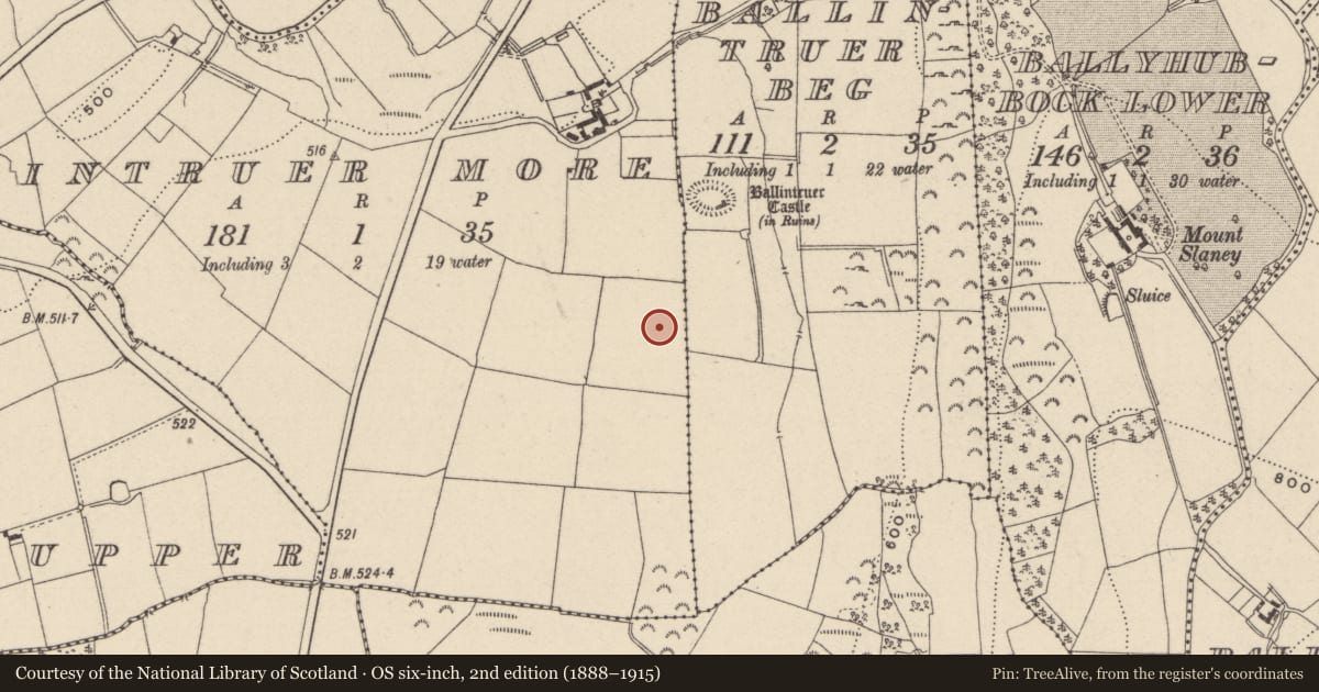 Ordnance Survey six-inch map, 2nd edition (1888–1915) covering the location of Cist, Ballintruer More, County Wicklow, with a pin at the register's coordinates
