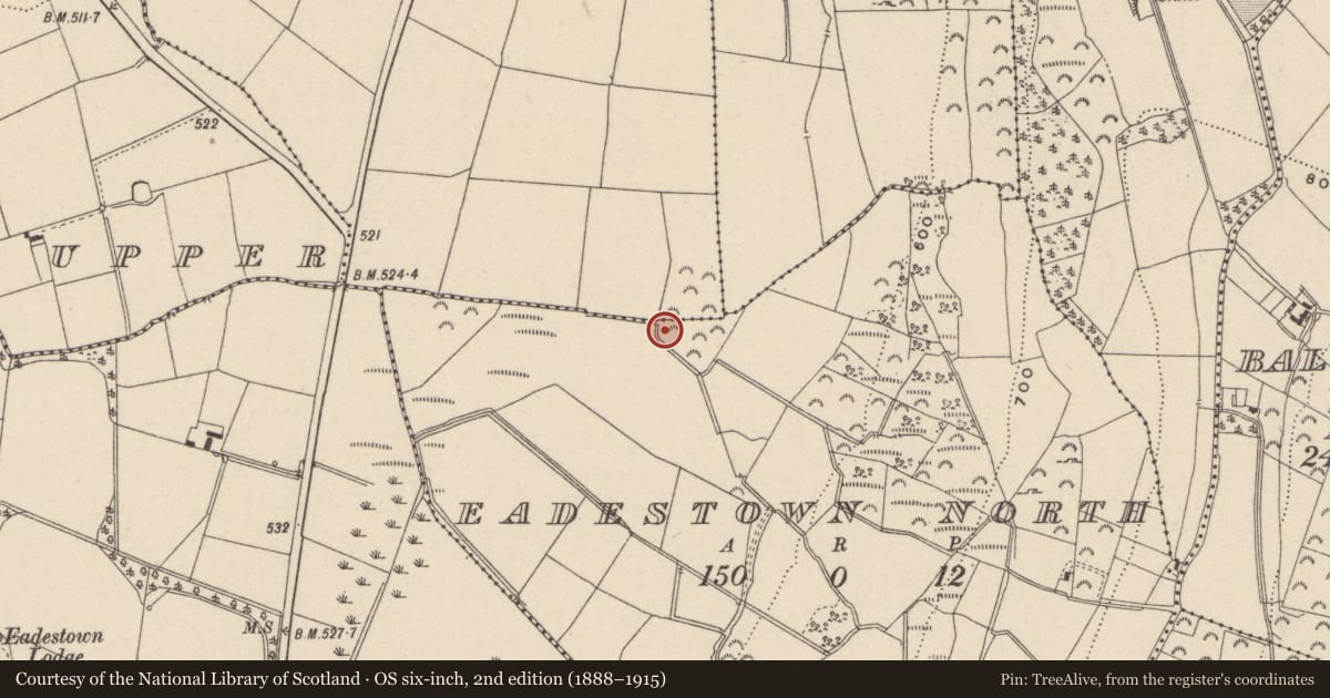 Ordnance Survey six-inch map, 2nd edition (1888–1915) covering the location of Bullaun stone, Eadestown North, County Wicklow, with a pin at the register's coordinates