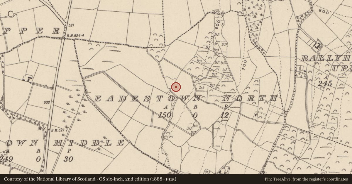 Ordnance Survey six-inch map, 2nd edition (1888–1915) covering the location of Mound, Eadestown North, County Wicklow, with a pin at the register's coordinates