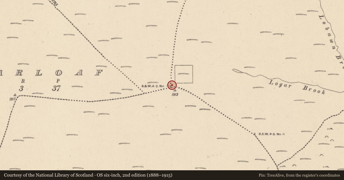 Ordnance Survey six-inch map, 2nd edition (1888–1915) covering the location of Enclosure, Lobawn, County Wicklow, with a pin at the register's coordinates